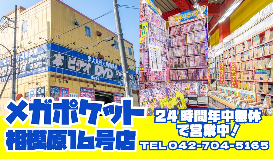 メガポケット相模原１６号店